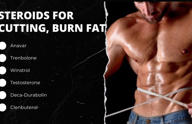 Best Steroids For Weight Loss - Steroids For Cutting, Burn Fat & Lean Muscle